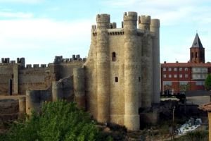 vista del castillo desde la muela