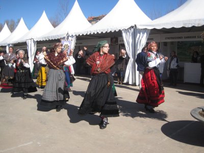 

Grupo de danzas Coyanza

