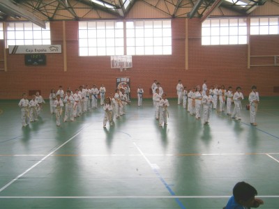 

Exibición de taekwondo


