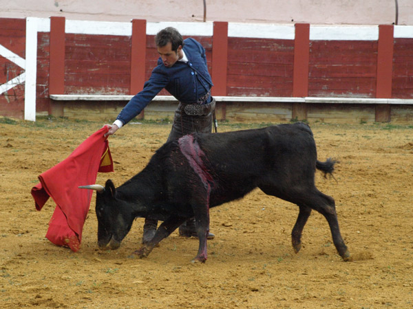 

Instantánea de César Jiménez durante el tentadero con reses de la ganadería de Ramón Sánchez Flores
