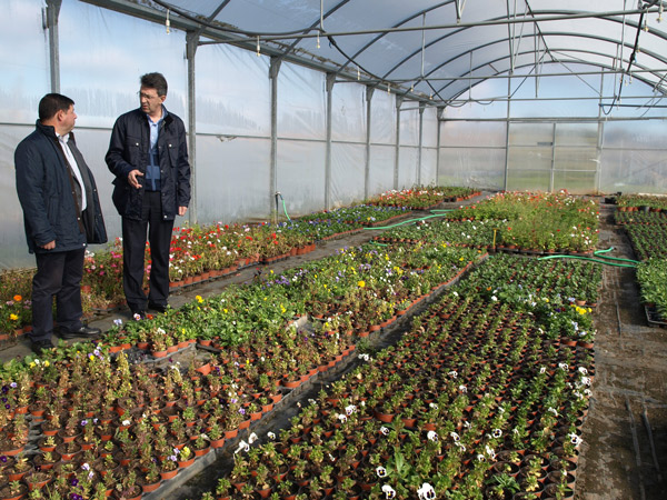 

Foto del Alcalde y el Teniente-alcalde visitando el vivero municipal

