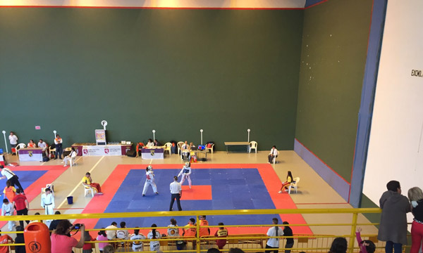 

VALENCIA DE DON JUAN ACOGE EL MEJOR TAEKWONDO REGIONAL

