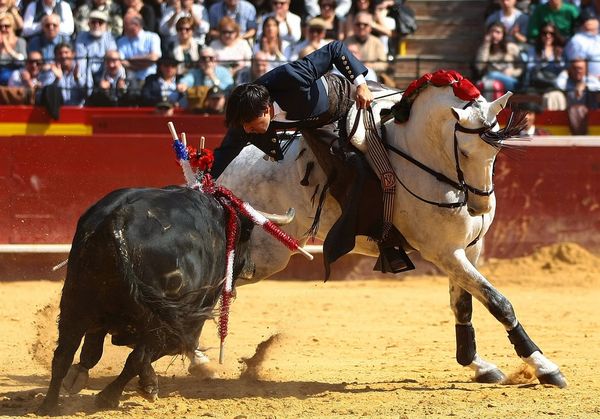 

Corrida de rejones

