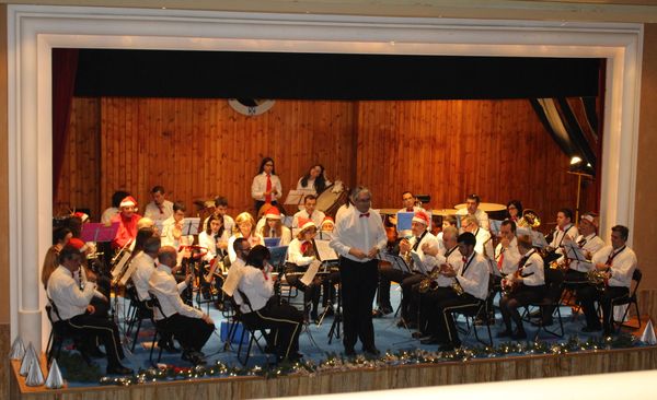 

La Banda de Música de Valencia de Don Juan

