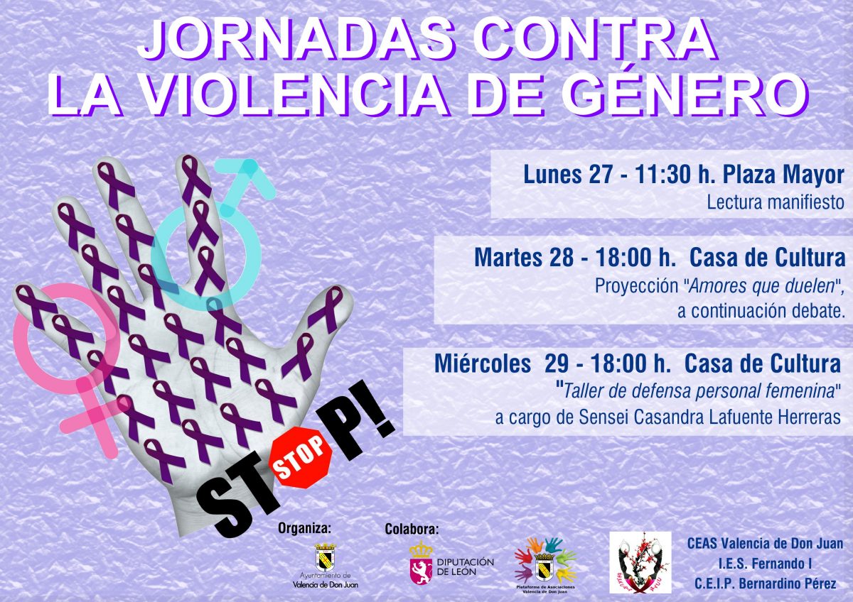 Jornadas contra la violencia de género