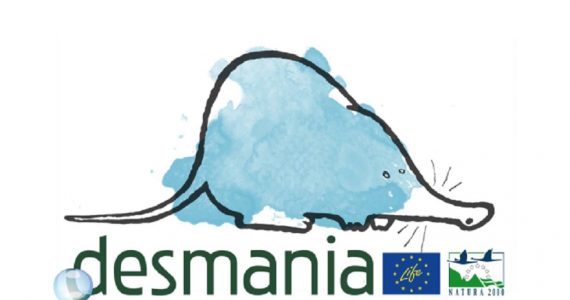 Desmania