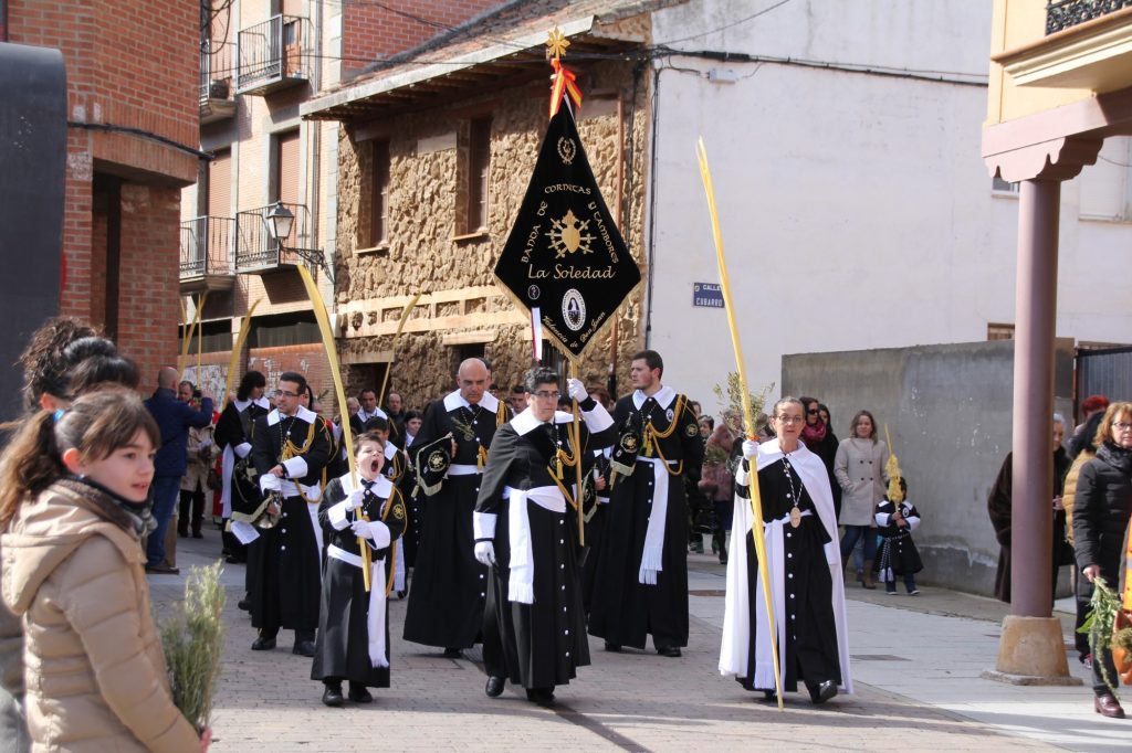 Procesión de la Borriquilla. Domingo de Ramos