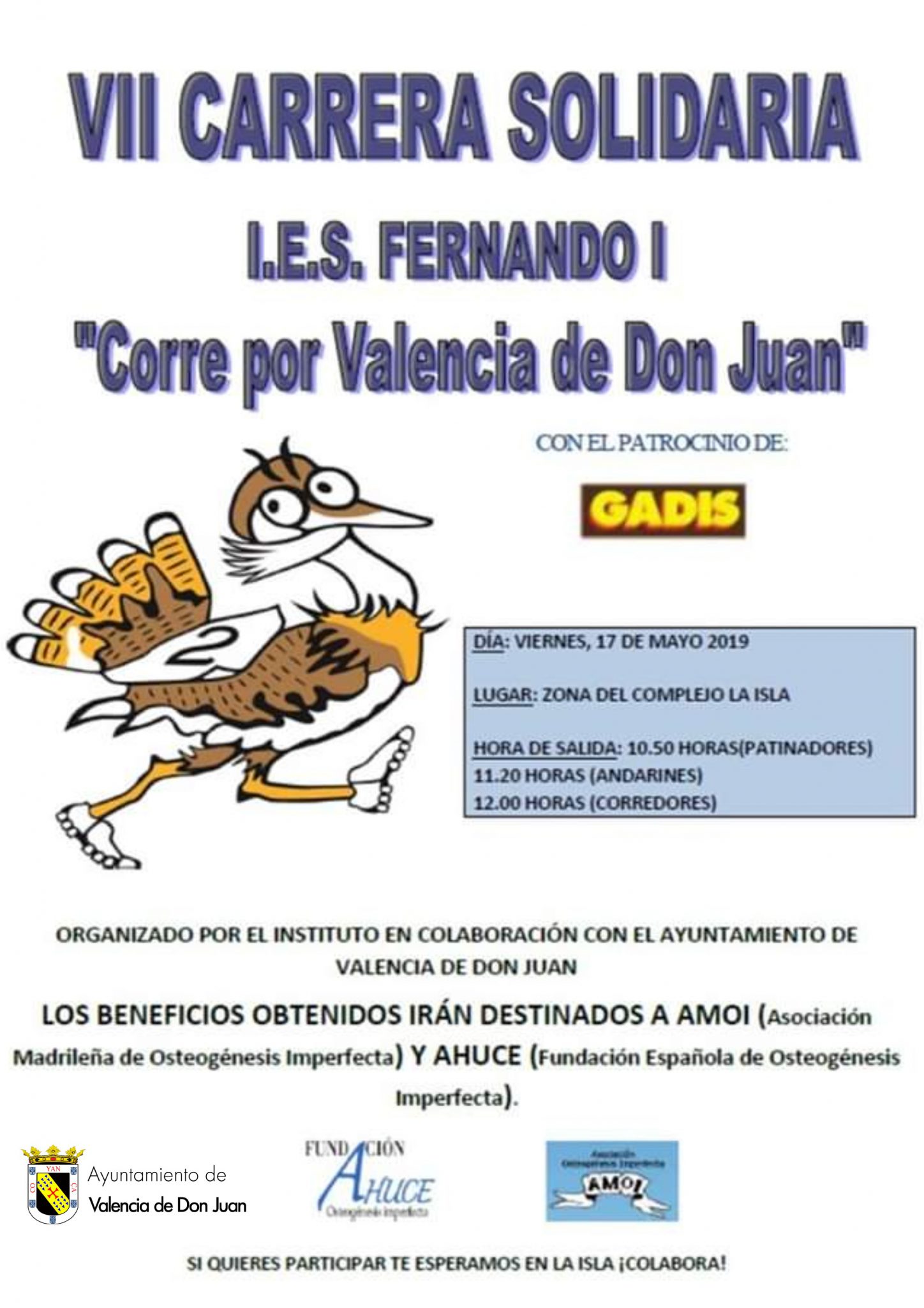 VII Carrera Solidaria IES Fernan I