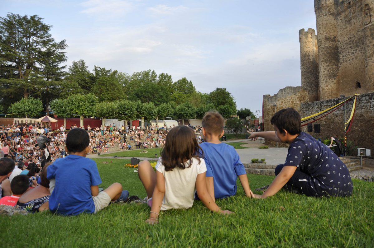 Espectáculo de cetrería en la X Feria Medieval de Valencia de Don Juan