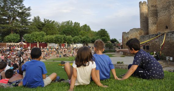 Espectáculo de cetrería en la X Feria Medieval de Valencia de Don Juan