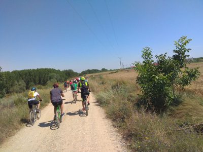 Marcha-Cicloturista-Vía-Verde-Valencia-de-Don-Juan-Villaornate-Y-Castro-2019-16