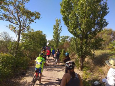 Marcha-Cicloturista-Vía-Verde-Valencia-de-Don-Juan-Villaornate-Y-Castro-2019-5