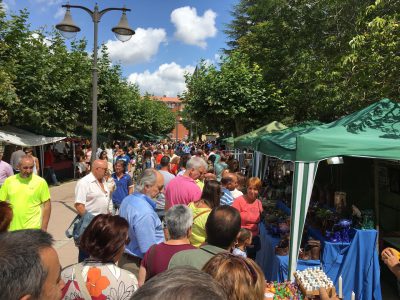 XXIII-Feria-de-la-Cerámica-Valencia-De-Don-Juan-Domingo-2019-4