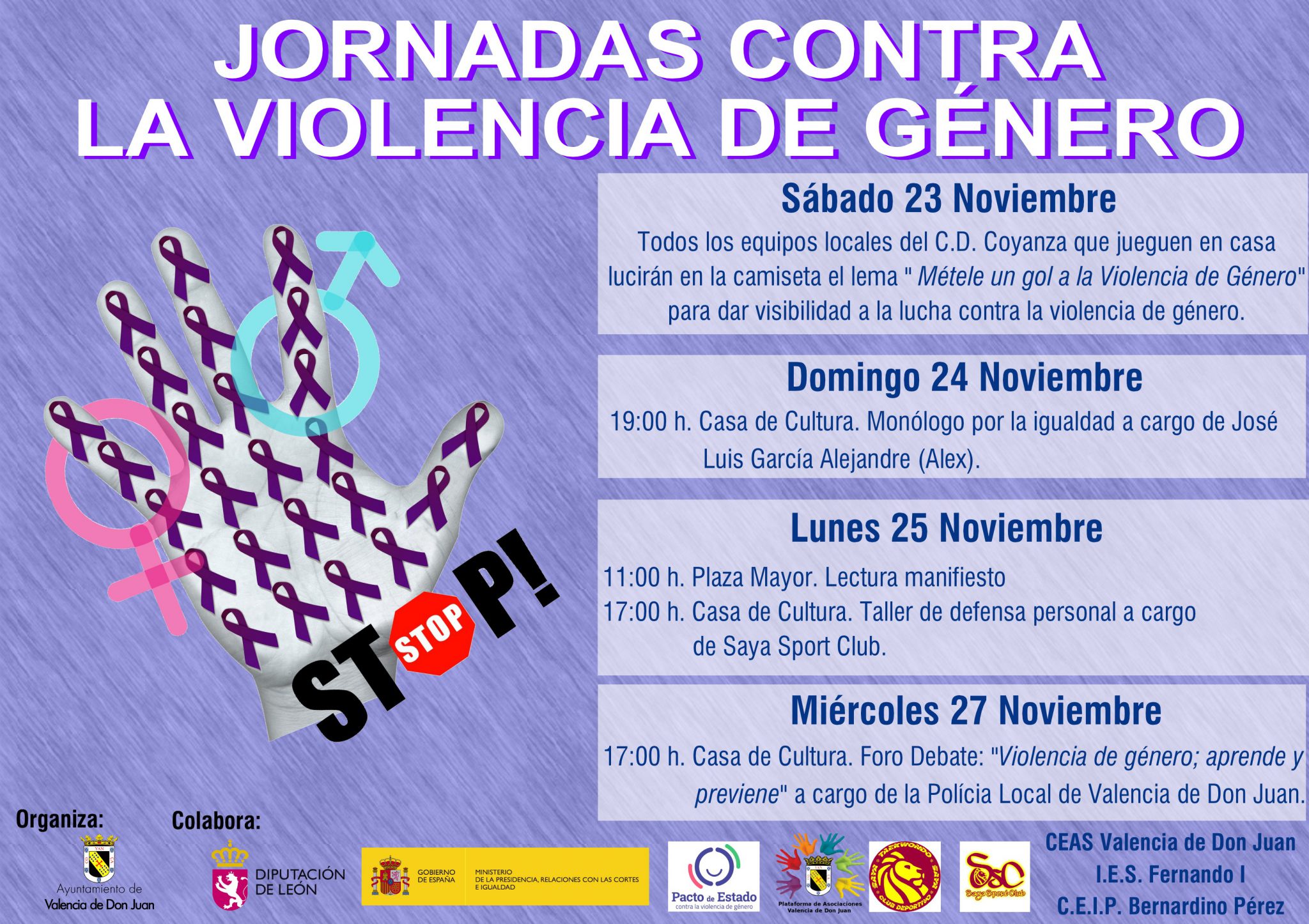 Jornadas contra la violencia de género