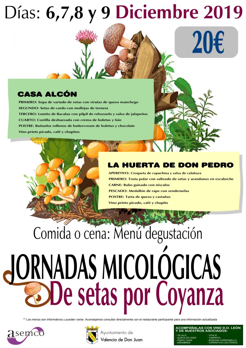 Jornadas-Gastronómicas-Micológicas-Valencia-De-Don-Juan
