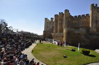 Burros-Zamorano-Leonoeses-Valencia-De-Don-Juan-Feria-De-Febrero00019