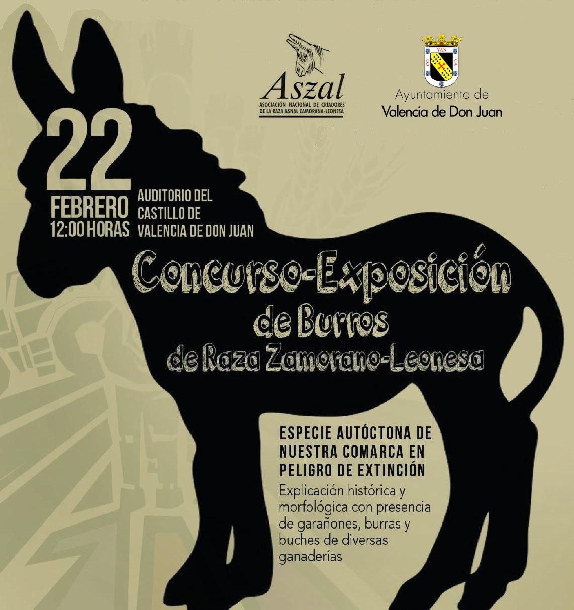 Concursos-Exposición de Burros Zamorano-leoneses
