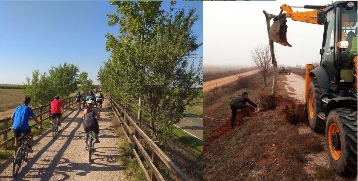 Vía-Verde-Valencia-De-Don-Juan-Árboles-Trasplantados-3