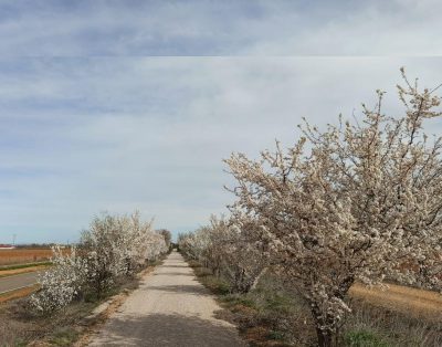 Valencia-De-Don-Juan-Vía-Verde-1