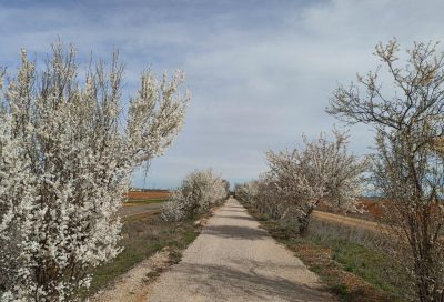 Valencia-De-Don-Juan-Vía-Verde-4