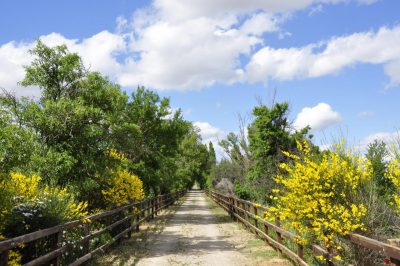 Valencia-De-Don-Juan-Vía-Verde-Primavera-4