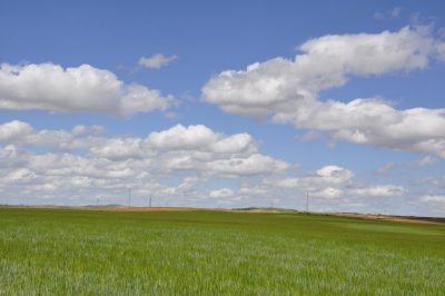 Valencia-De-Don-Juan-Vía-Verde-Primavera-7