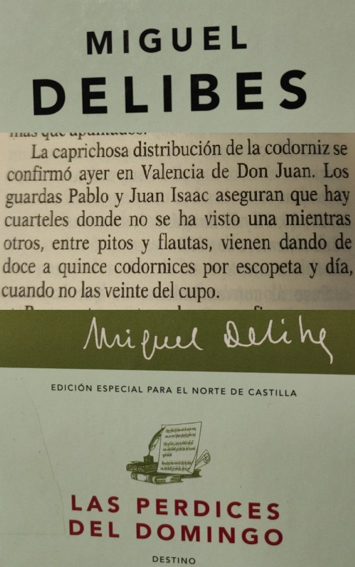 Miguel-Delibes-Las-Perdices-Del-Domingo-Valencia-De-Don-Juan-Caza-Oteros