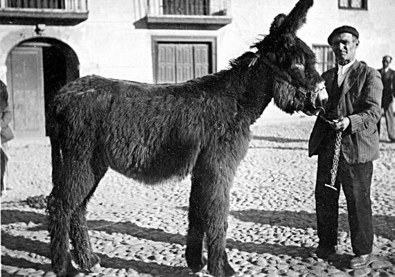 Feria-febrero-Valencia-de-Don-Juan-1942-1-HQ