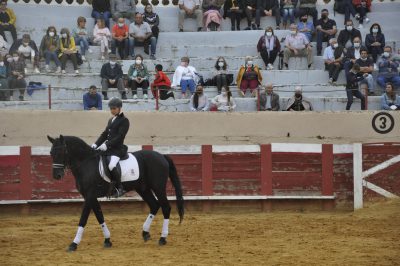 Valencia-De-Don-Juan-Plaza-De-Toros-Flamenqus-El-Embrujo-De-Castilla_105