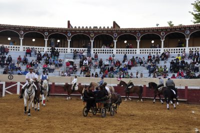 Valencia-De-Don-Juan-Plaza-De-Toros-Flamenqus-El-Embrujo-De-Castilla_126