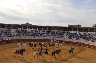 Valencia-De-Don-Juan-Plaza-De-Toros-Flamenqus-El-Embrujo-De-Castilla_14