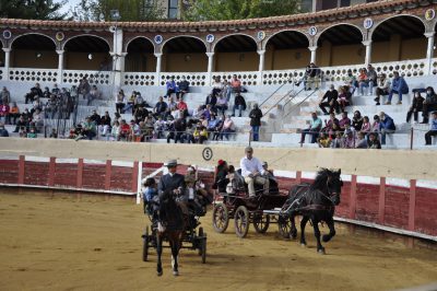 Valencia-De-Don-Juan-Plaza-De-Toros-Flamenqus-El-Embrujo-De-Castilla_23