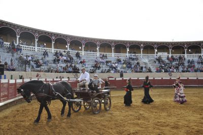 Valencia-De-Don-Juan-Plaza-De-Toros-Flamenqus-El-Embrujo-De-Castilla_26