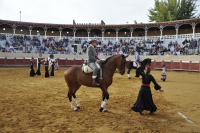 Valencia-De-Don-Juan-Plaza-De-Toros-Flamenqus-El-Embrujo-De-Castilla_31