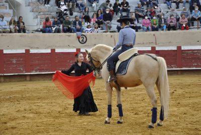 Valencia-De-Don-Juan-Plaza-De-Toros-Flamenqus-El-Embrujo-De-Castilla_49