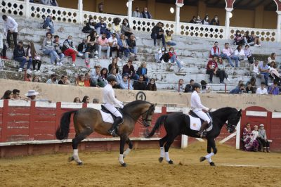 Valencia-De-Don-Juan-Plaza-De-Toros-Flamenqus-El-Embrujo-De-Castilla_62