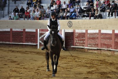 Valencia-De-Don-Juan-Plaza-De-Toros-Flamenqus-El-Embrujo-De-Castilla_94