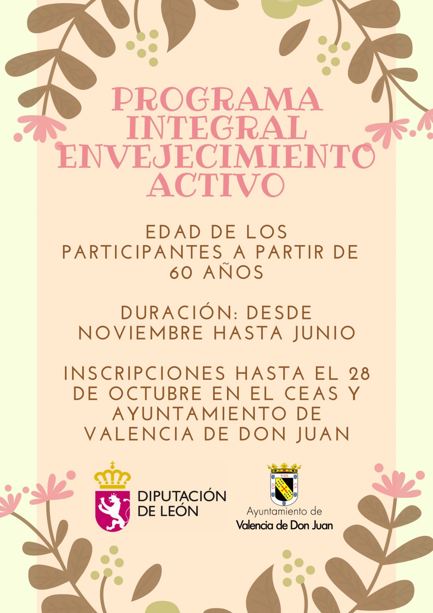 Programa Integral Envejecimiento Activo