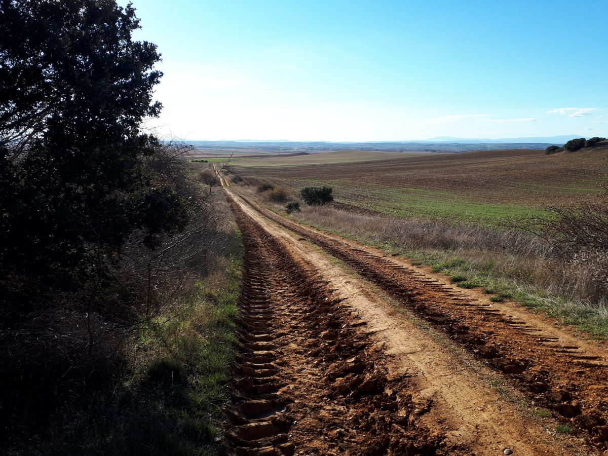 Valencia-de-Don-Juan-7-BTT-Rutas-Ciclistas_28