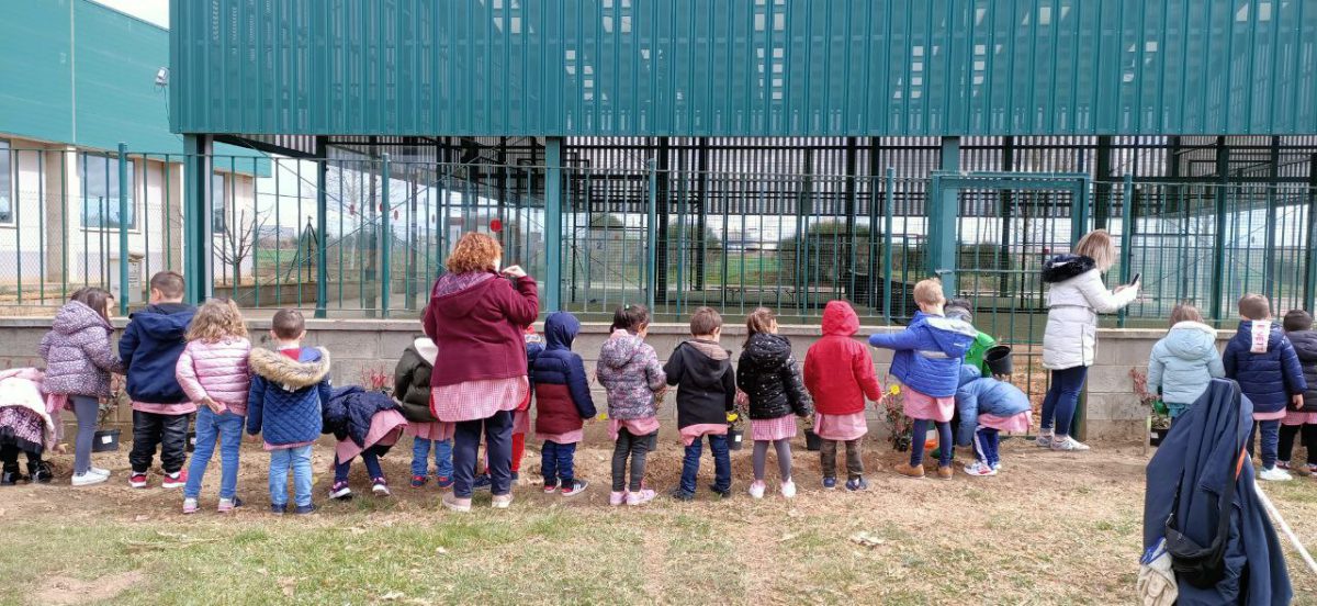 Valencia-De-Don-Juan-Día-Mundial-Árbol-CEIP-Bernardino-Pérez-2