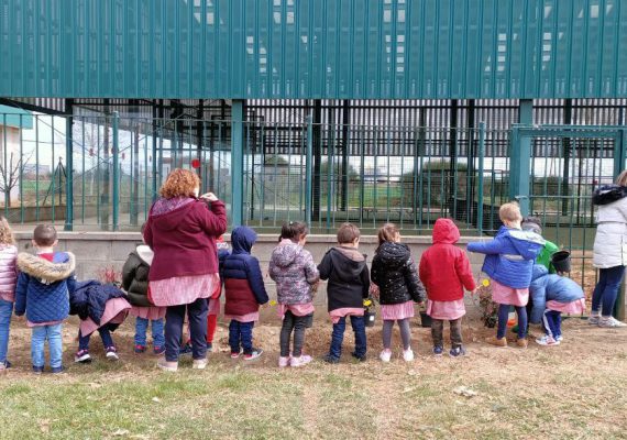 Valencia-De-Don-Juan-Día-Mundial-Árbol-CEIP-Bernardino-Pérez-2