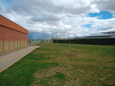 Valencia-De-Don-Juan-Día-Mundial-Árbol-CEIP-Bernardino-Pérez-4