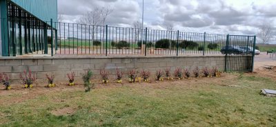 Valencia-De-Don-Juan-Día-Mundial-Árbol-CEIP-Bernardino-Pérez