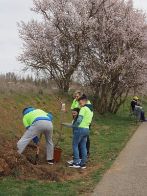 Valencia-De-Don-Juan-Día-Mundial-Árbol-Vía-Verde-NC