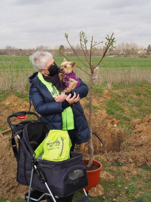 Valencia-De-Don-Juan-Día-Mundial-Árbol-Vía-Verde-NC3