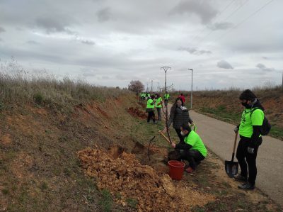 Valencia-De-Don-Juan-Día-Mundial-Árbol-Vía-Verde-Natura-Coyanza_15