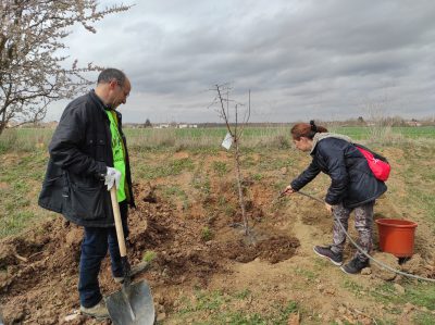 Valencia-De-Don-Juan-Día-Mundial-Árbol-Vía-Verde-Natura-Coyanza_24