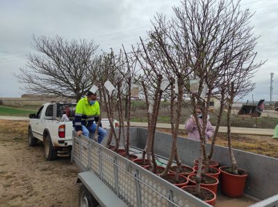 Valencia-De-Don-Juan-Día-Mundial-Árbol-Vía-Verde-Natura-Coyanza_3