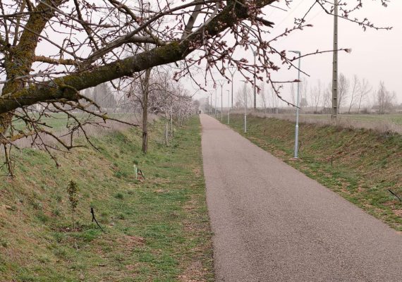 Valencia-De-Don-Juan-Natura-Coyanza-Día-Del-Árbol-2022-Vía-Verde