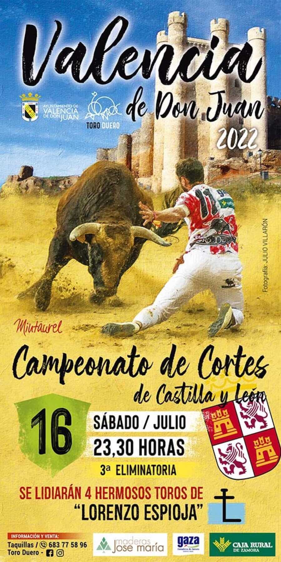 Campeonato de Cortes de Castilla y León